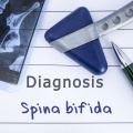 Spina Bifida And Sex