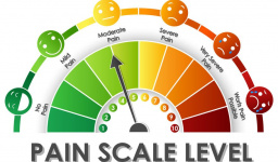  Sex with Bleb Disease Bleb Pain Scale Pain Journal and Sexual Activities Table